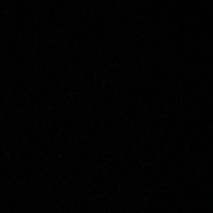 Meet your Posher, Carter